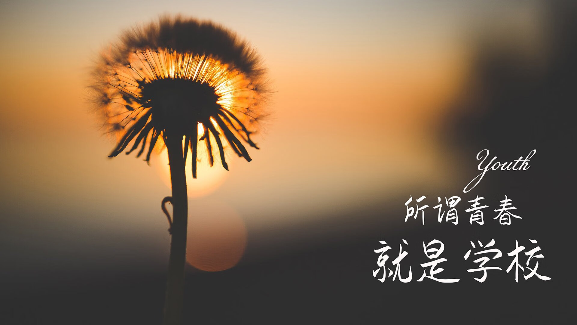 开云·体育全站登录地址-_国际街舞节：用舞蹈彰显运动精神_，国际街舞比赛