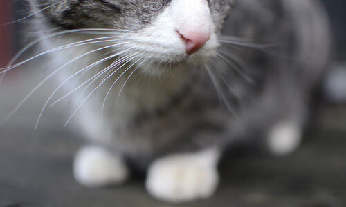 kaiyun体育app-中国足球基础设施投资连年增长，硬件水平不断跃升，中国足球产业的现状分析