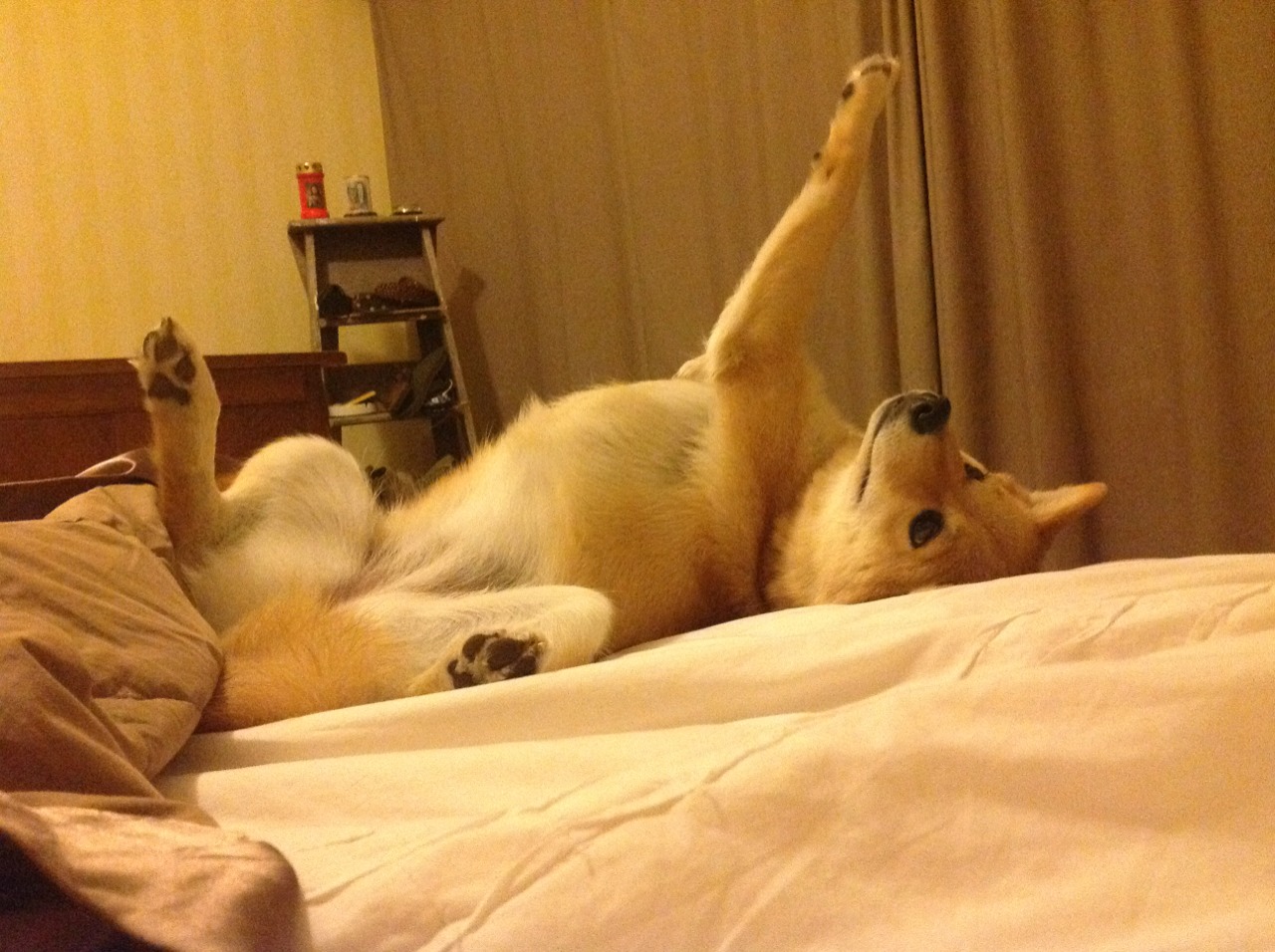 欧冠“奇迹逆转”夜:那些令人心碎的逆境翻盘,欧冠最大逆转奇迹叫啥