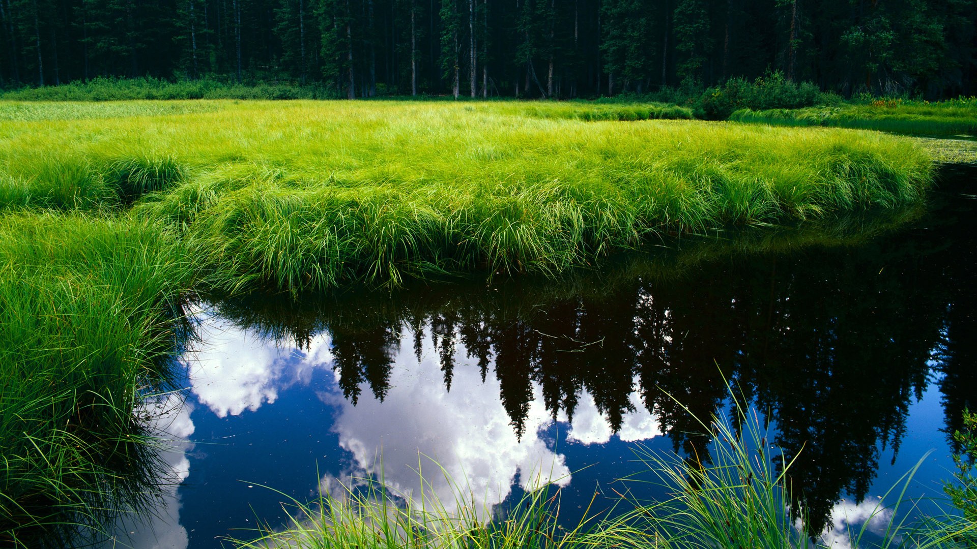 kaiyun体育app-乌拉圭队前锋洛佩斯在巴黎奥运会上表现出色，佩纳罗尔对乌拉圭民族比赛分析