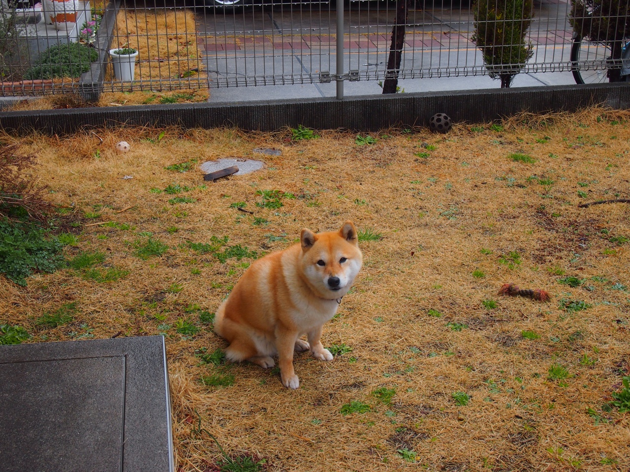 尤文图斯击败博洛尼亚在意甲继续保持领先,尤文图斯对战博洛尼亚