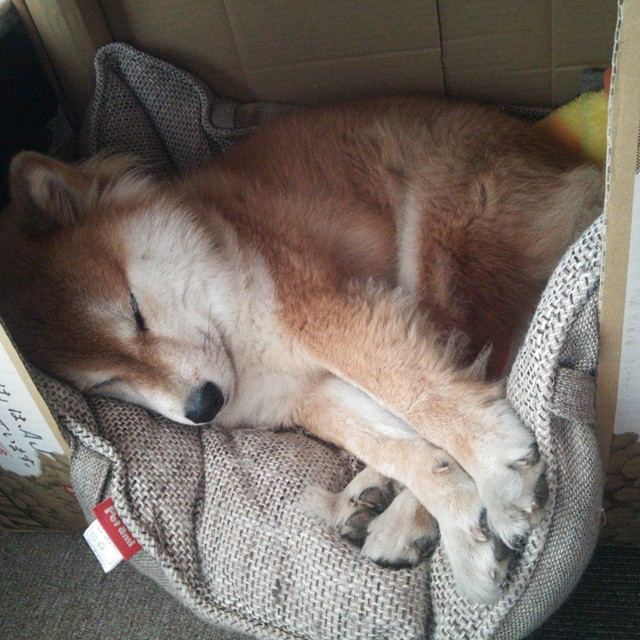 开云下载-欧洲篮球决赛盛况空前 豪门对决呈现完美收官，欧洲篮球联赛决赛几场