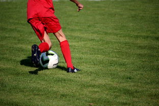 开云·体育官方网站入口-中国青少年篮球运动员伤病防控体系建设，青少年篮球训练现状分析