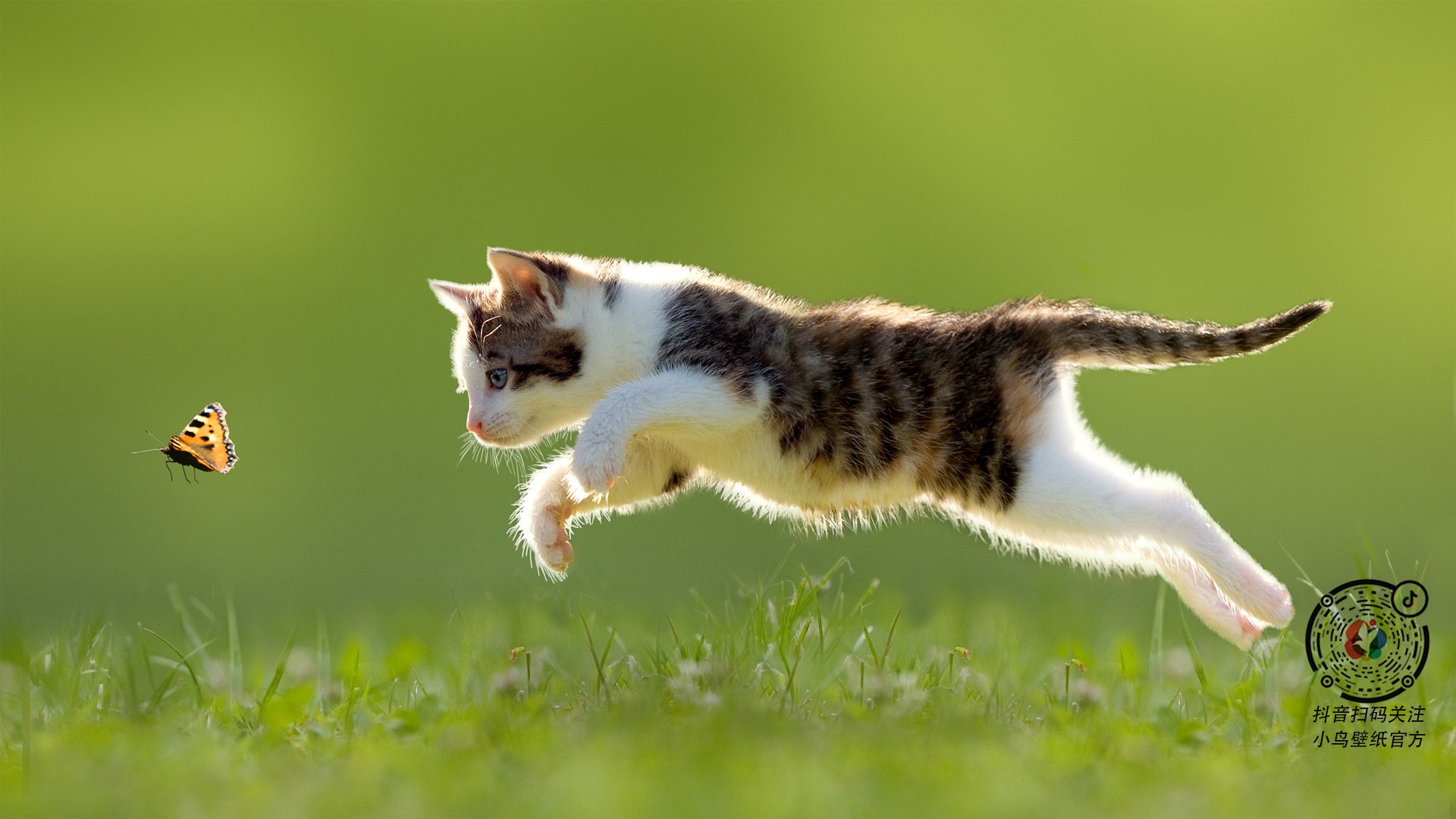 开云全站-青少年球员身体指标评估标准不统一，青少年体能评估表